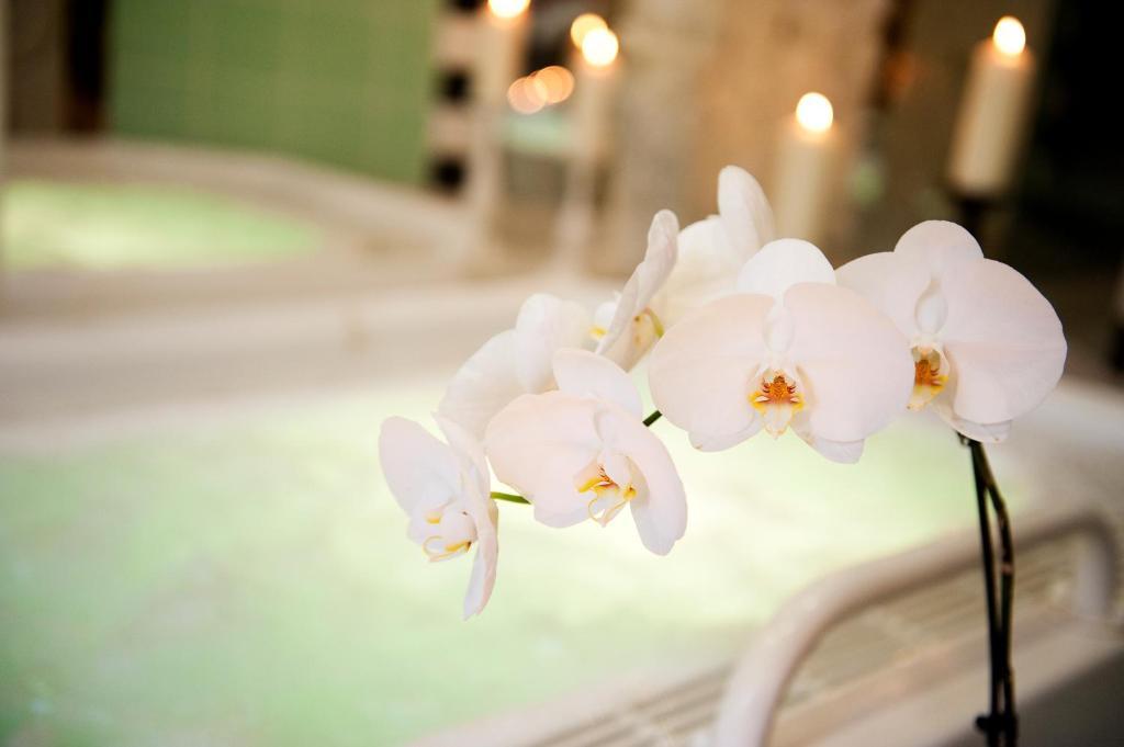 Ringhotel Vitalhotel Ambiente 4* Bad Wilsnack